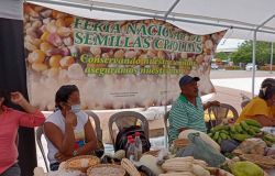 Exitosa Feria de Semillas Criollas y Nativas realizaron en Choluteca para promover la Soberanía Alimentaria