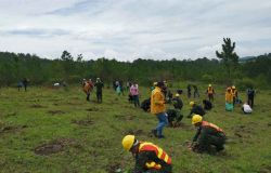 Municipalidad de Santa Rosa de Copán y la Cooperación Española encabezan actividades de reforestación