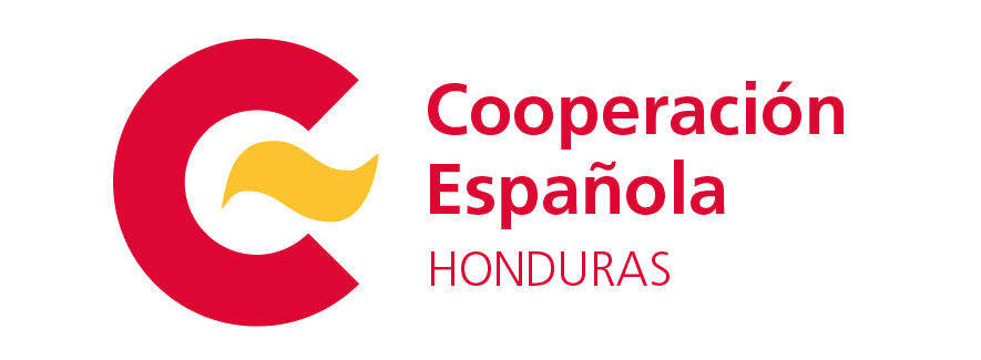 cooperación española